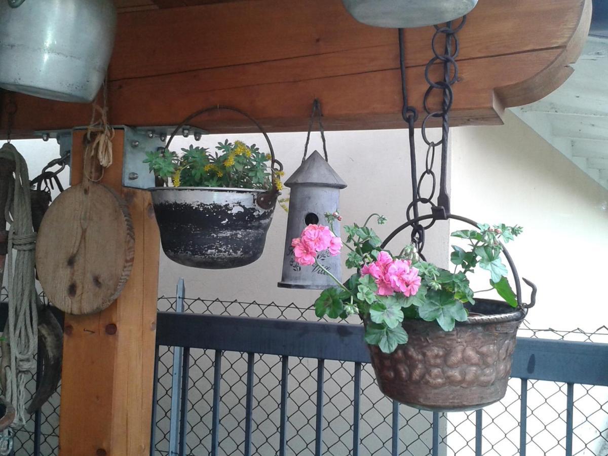 B&B Casa Francesca Alano Di Piave Екстер'єр фото