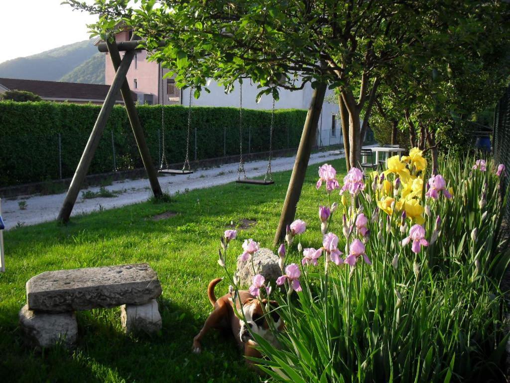 B&B Casa Francesca Alano Di Piave Екстер'єр фото